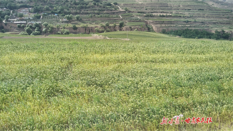 1692695906628008.jpg GetAttachment (20).jpg