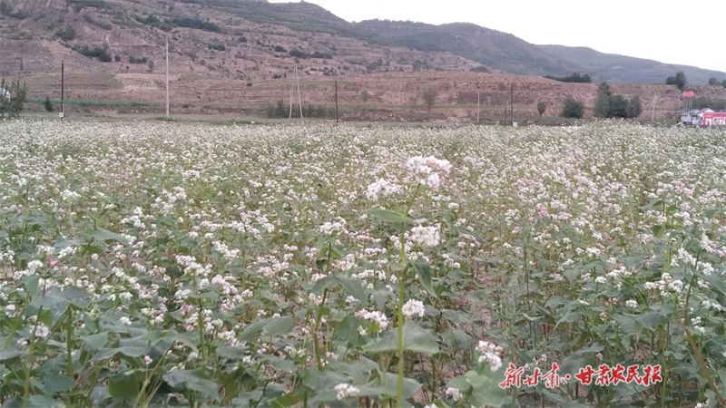 1692695917249222.jpg GetAttachment (21).jpg