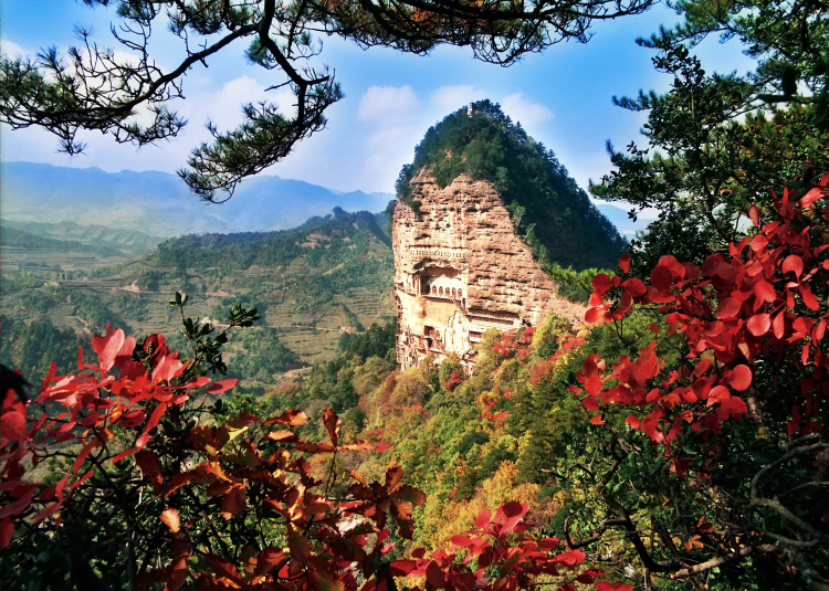 1501211682368050.jpg 1.jpg