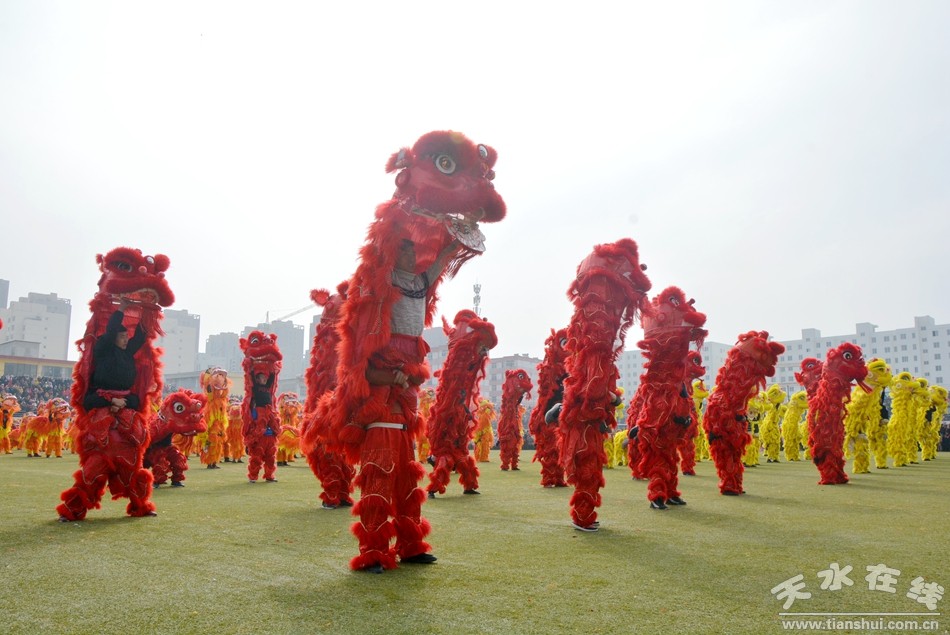 1550632248911456.jpg 9999999.jpg