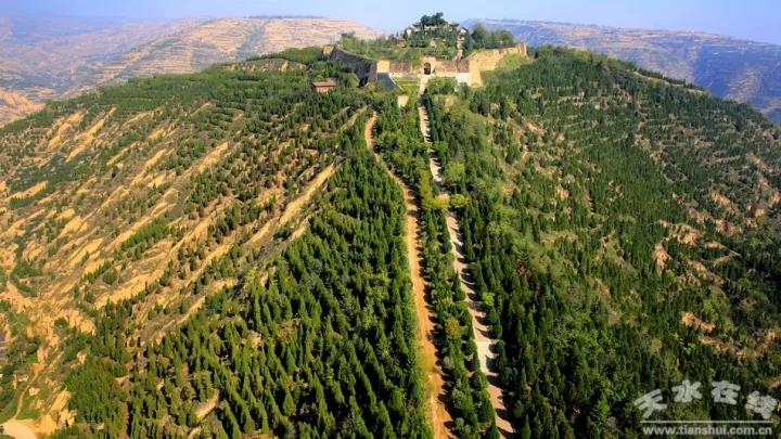 1512888170632997.jpg 12.jpg