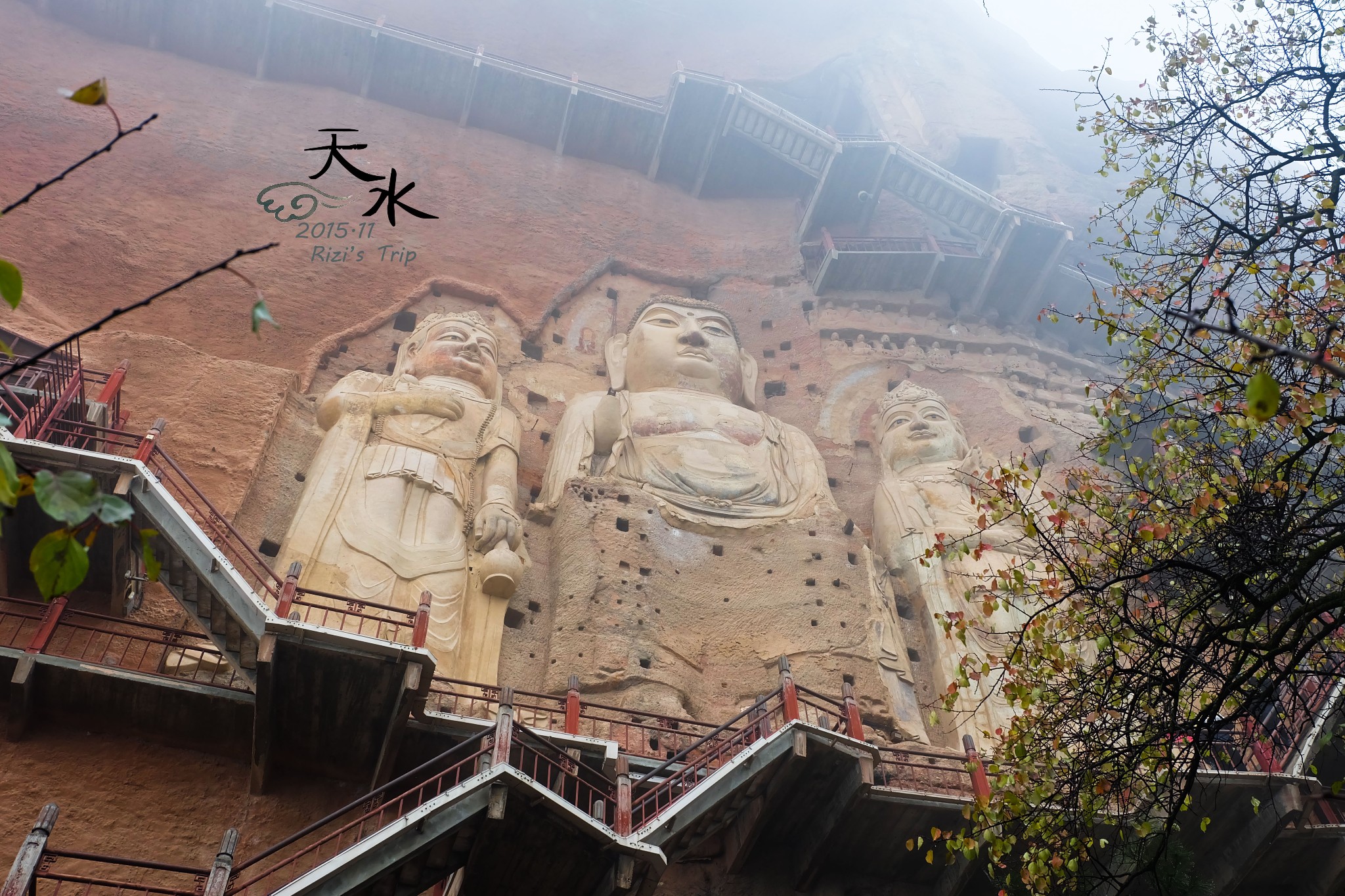 1502160423332076.jpeg 10.jpeg