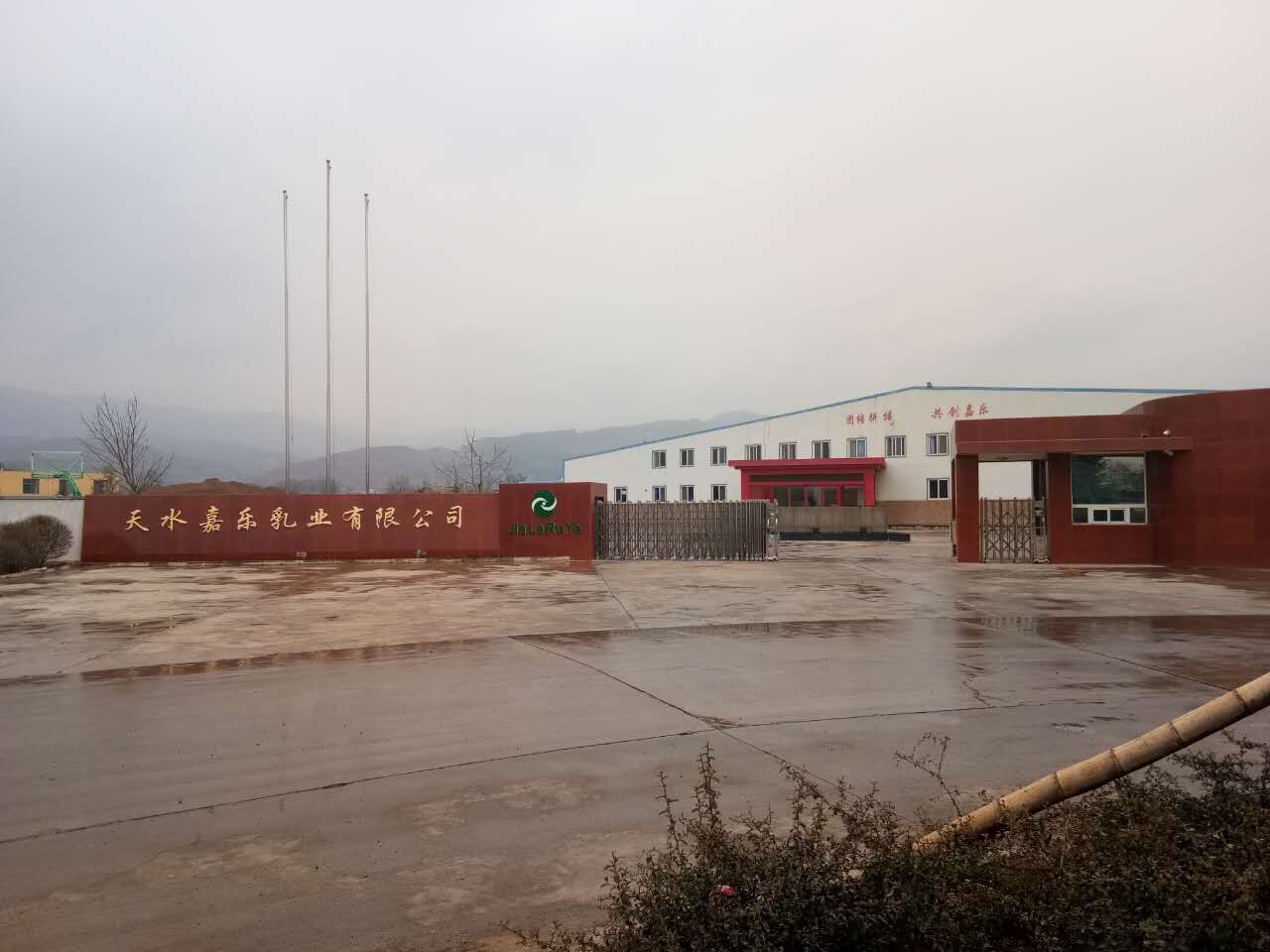 1501462468971442.jpg 2.jpg