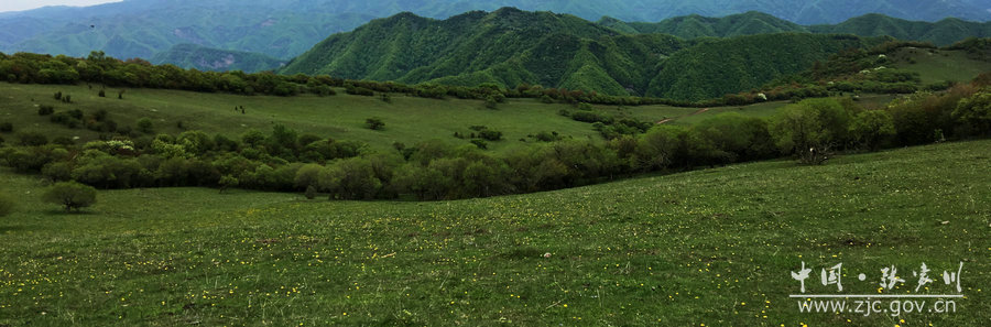 1505114702908788.jpg 3.jpg