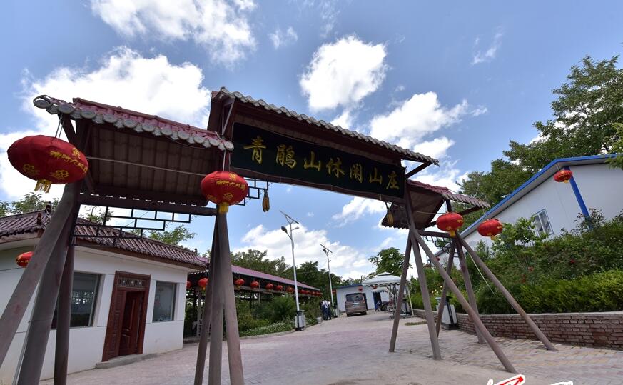 1564369609830513.jpg 1.jpg