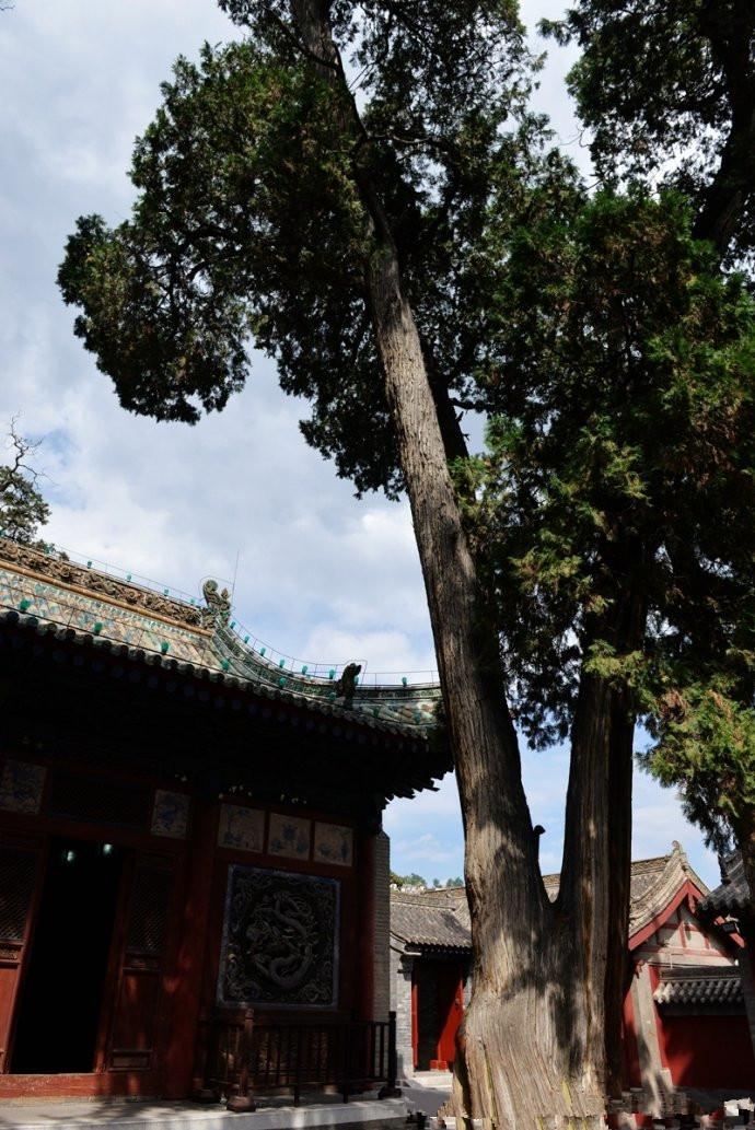 1504256678478298.jpg 25.jpg