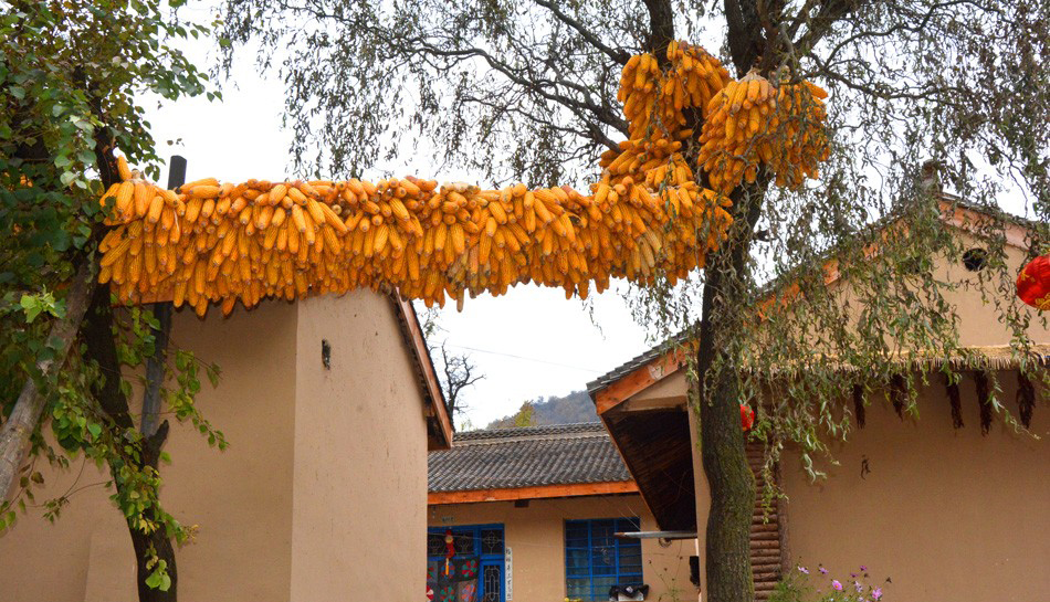 1541039676630544.jpg 18103117130a25f43648317f2e 副本.jpg