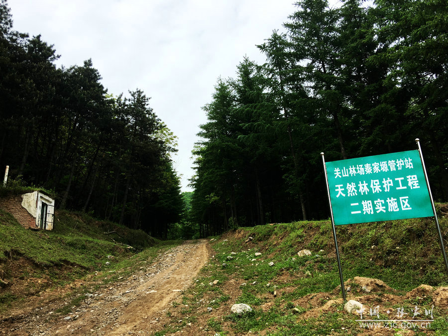 1505115192907755.jpg 21.jpg