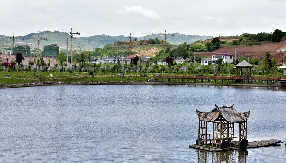 1564369617140623.jpg 2.jpg