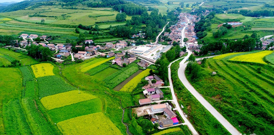 1531792722105651.jpg 1.jpg