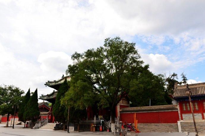 1504256119760887.jpg 2.jpg