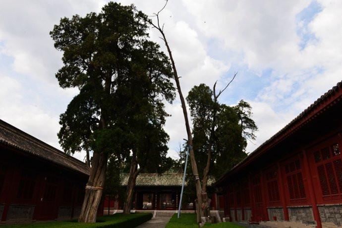 1504256143112235.jpg 4.jpg