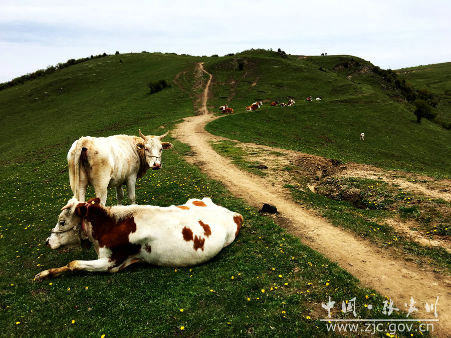 1505115150622885.jpg 9.jpg