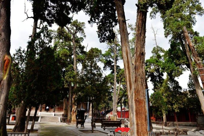 1504256860645907.jpg 34.jpg