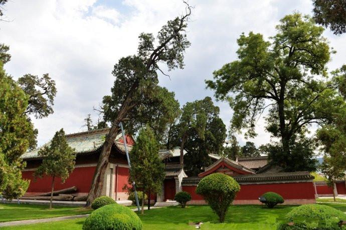 1504256793115204.jpg 32.jpg