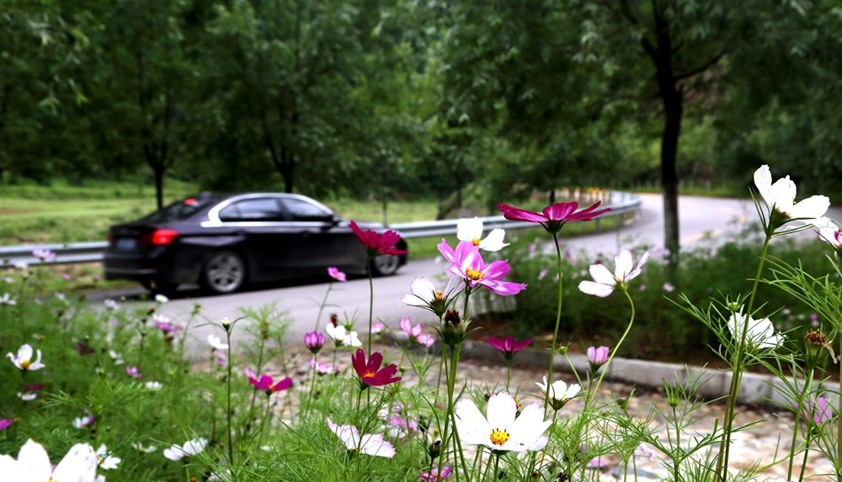 1531792738134913.jpg 3.jpg