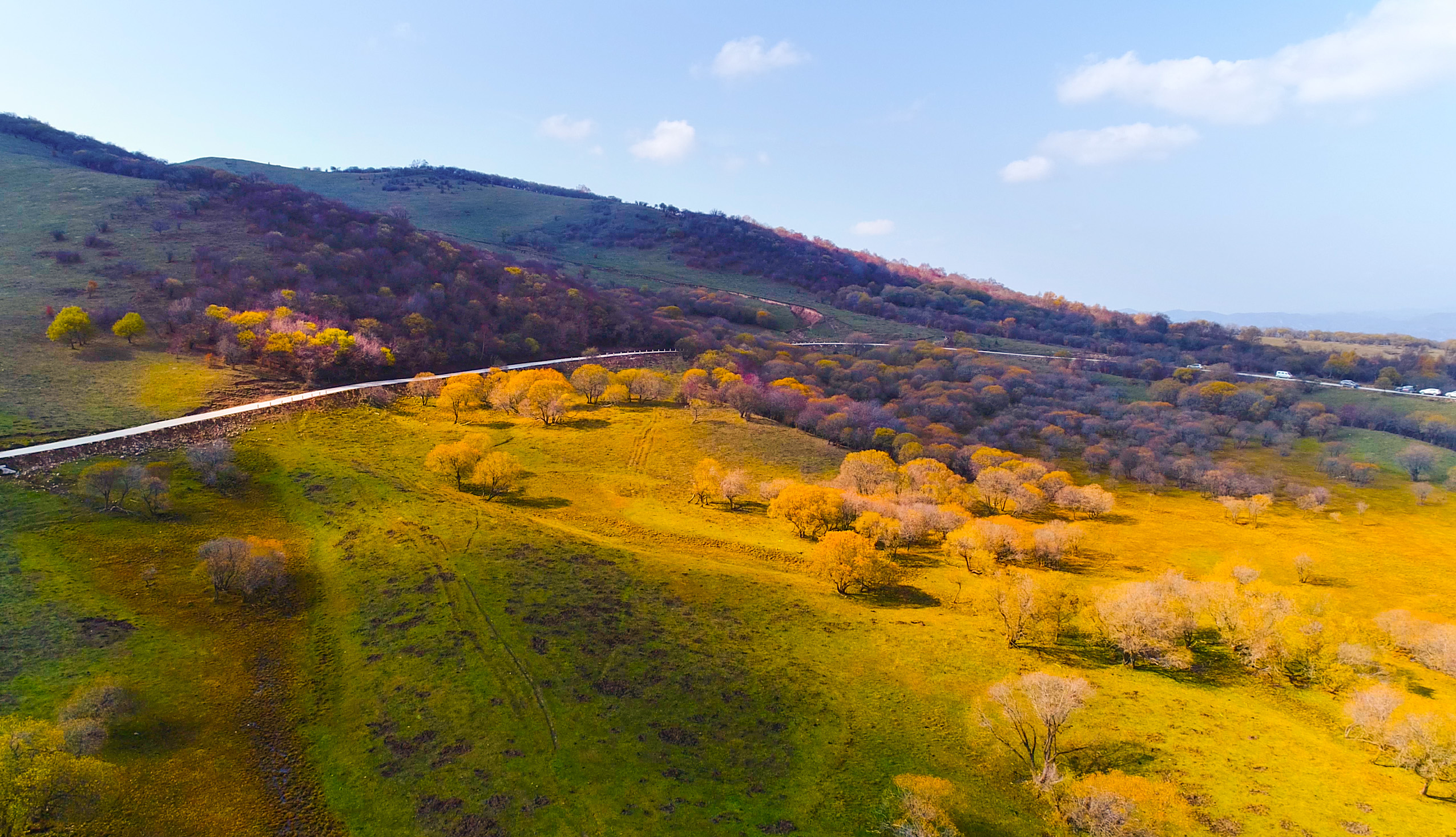 1511514668834386.jpg 陈剑飞.jpg