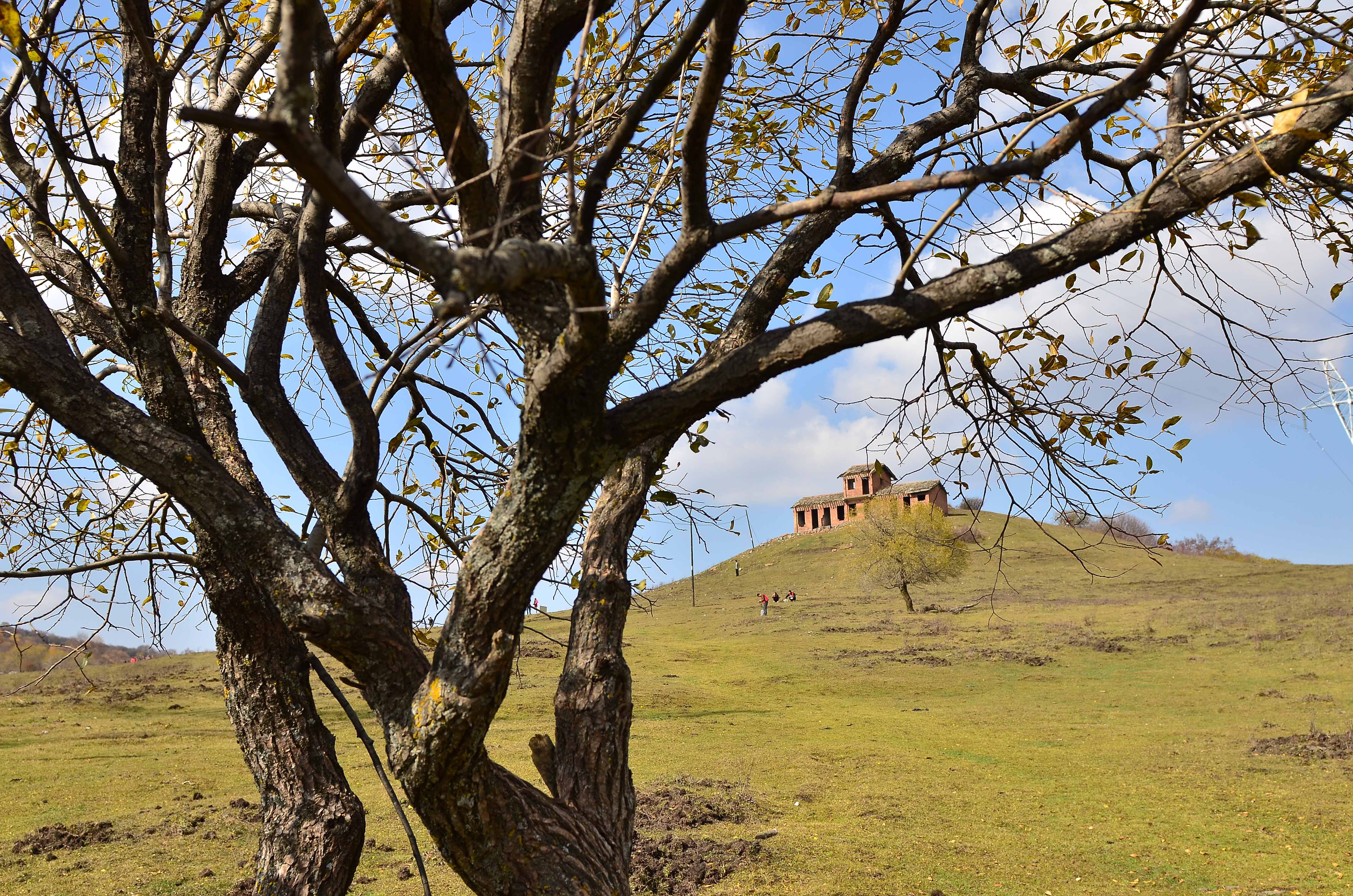 1511516070333453.jpg 安建华2.jpg