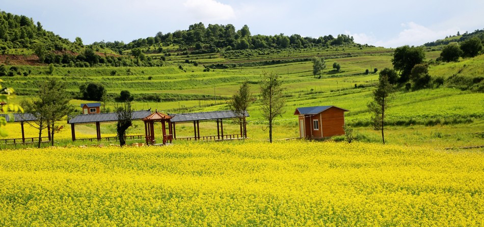 1531792749772678.jpg 5.JPG