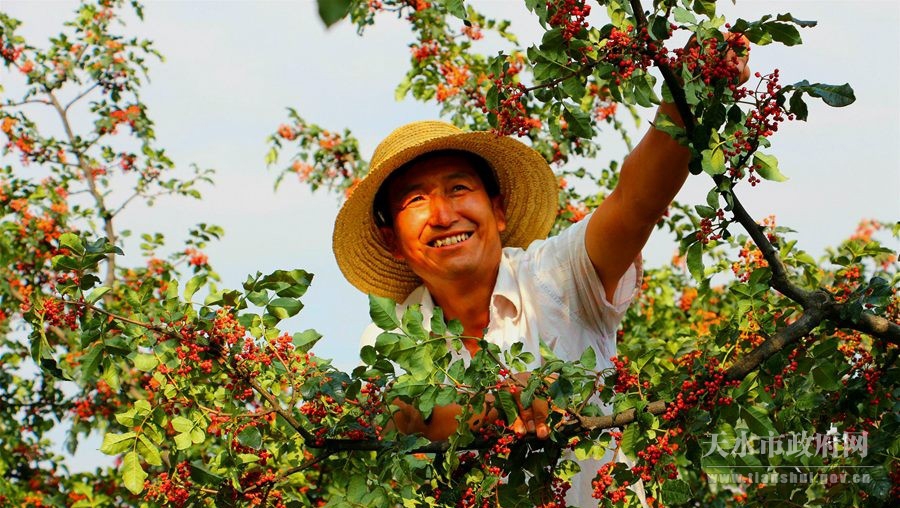 1501465267952164.jpg 1.jpg