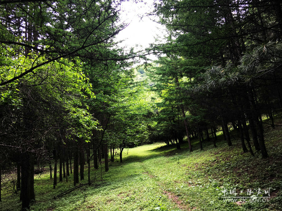 1505115215911542.jpg 19.jpg