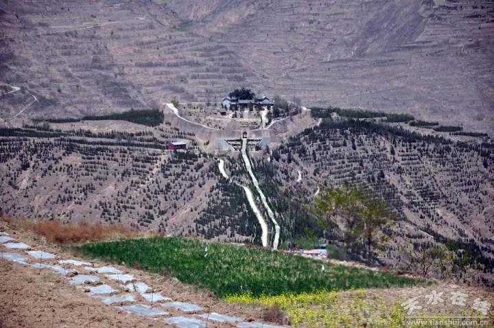 1512887962109064.jpg 7.jpg