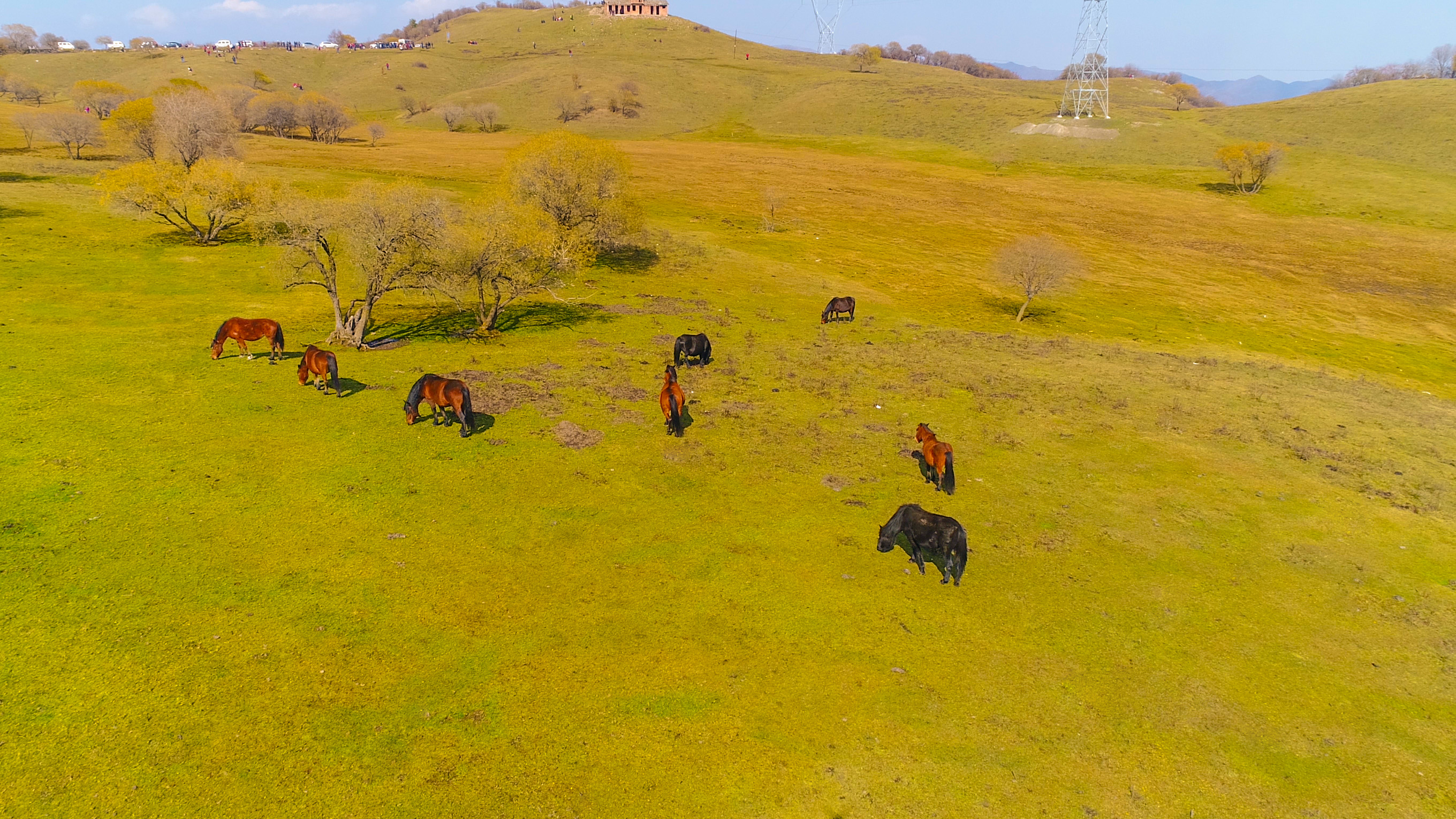 1511515346336895.jpg 陈剑飞2.jpg