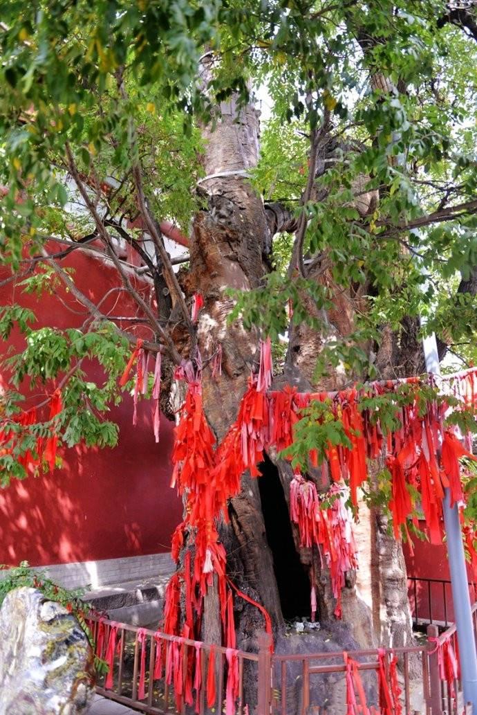 1504256871318176.jpg 35.jpg