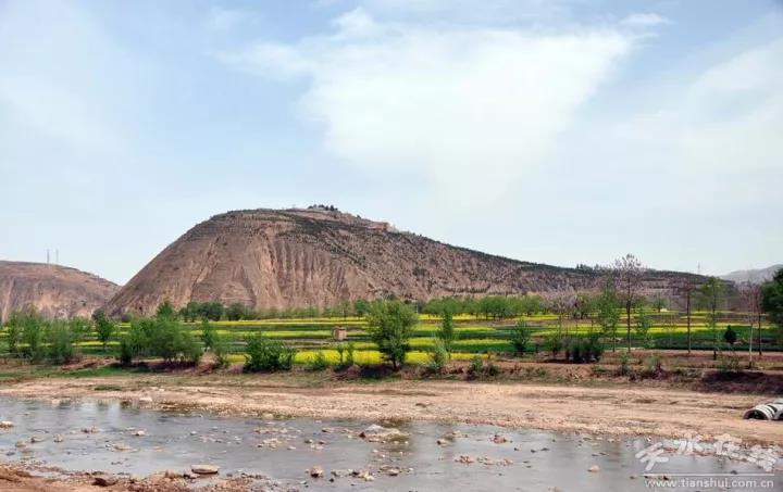 1512888007794452.jpg 10.jpg