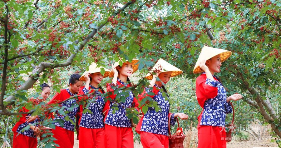 1501465285100939.jpg 2.jpg