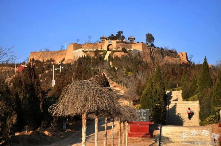 1512887971119391.jpg 8.jpg