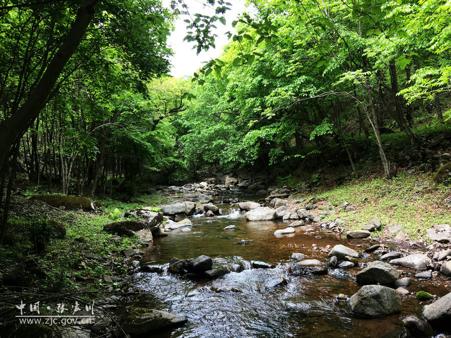 1505115233119890.jpg 20.jpg