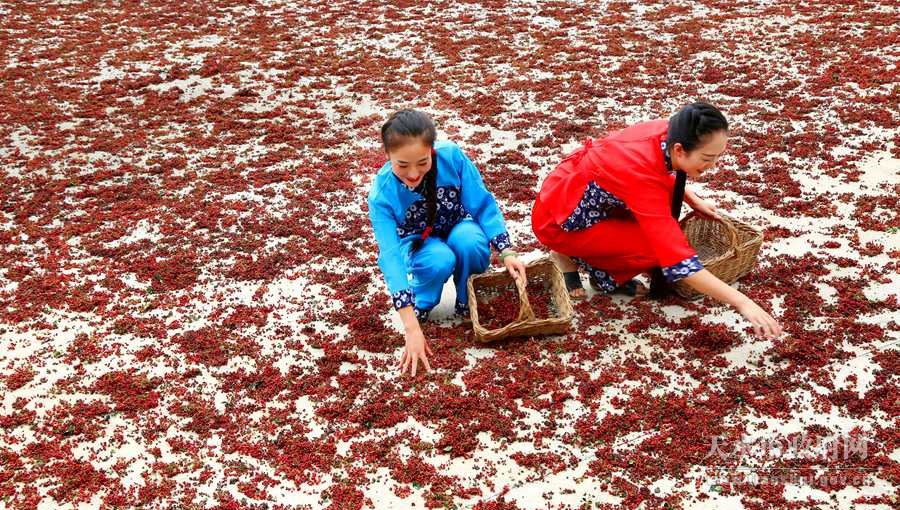 1501465307131518.jpg 3.jpg