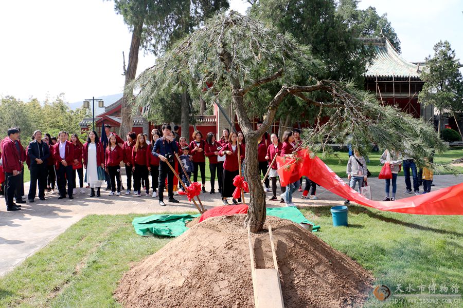 1524640349840152.jpg 110.jpg