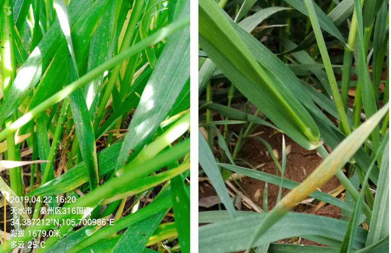 未标题-1 拷贝.jpg