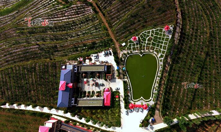 1563958344687217.jpg 4.jpg