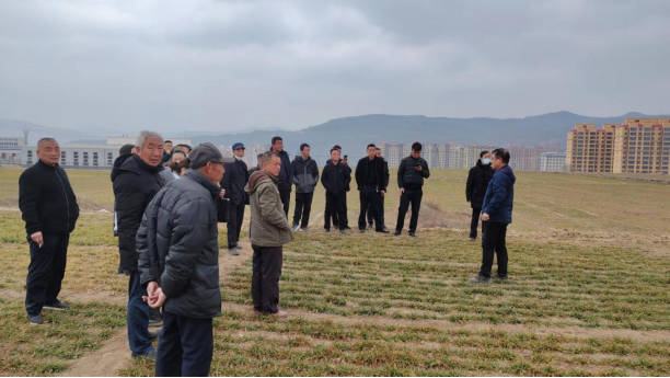 13期 “三抓三促”助力科技培训成效明显616.png