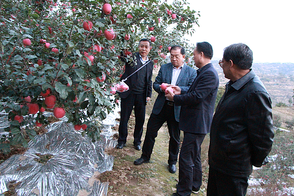 IMG_9830.JPG IMG_9830.JPG