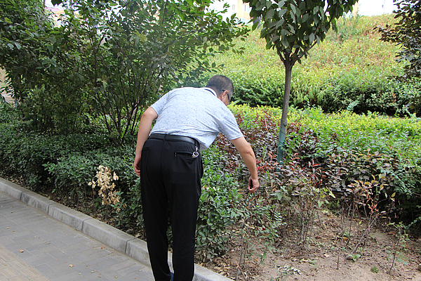 IMG_7352.JPG IMG_7352.JPG