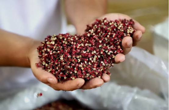 春日产业新 乡村画卷美417.png