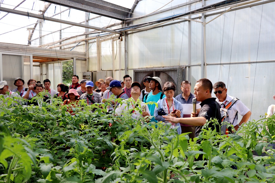 Canon 2019-07-07 Canon EOS 77D Canon EOS 77D F3.5 IMG_8101 18mm IMG_8101 ISO200 IMG_8101 Canon2.jpg