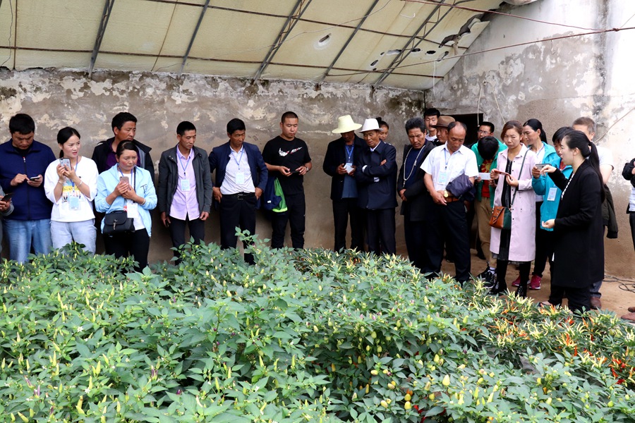 Canon 2019-06-19 Canon EOS 77D Canon EOS 77D F11.0 IMG_7433 18mm IMG_7433 ISO1600 IMG_7433 Canon2.jpg