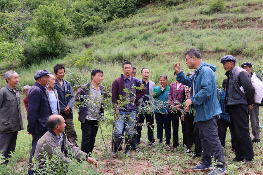 Canon 2019-06-05 Canon EOS 77D Canon EOS 77D F10.0 IMG_7071 35mm IMG_7071 ISO400 IMG_7071 Canon1.jpg