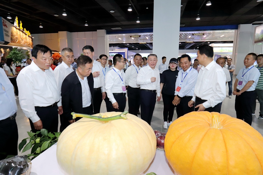 Canon 2019-06-20 Canon EOS 77D Canon EOS 77D F5.6 IMG_7721 13mm IMG_7721 ISO3200 IMG_7721 Canon4.jpg