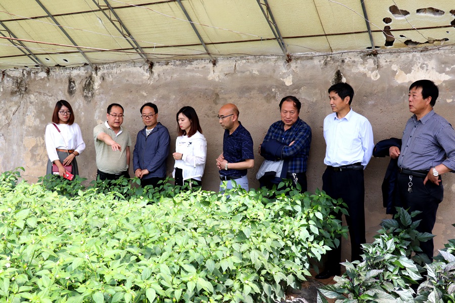 Canon 2019-05-22 Canon EOS 77D Canon EOS 77D F10.0 IMG_6810 24mm IMG_6810 ISO400 IMG_6810 Canon1.jpg