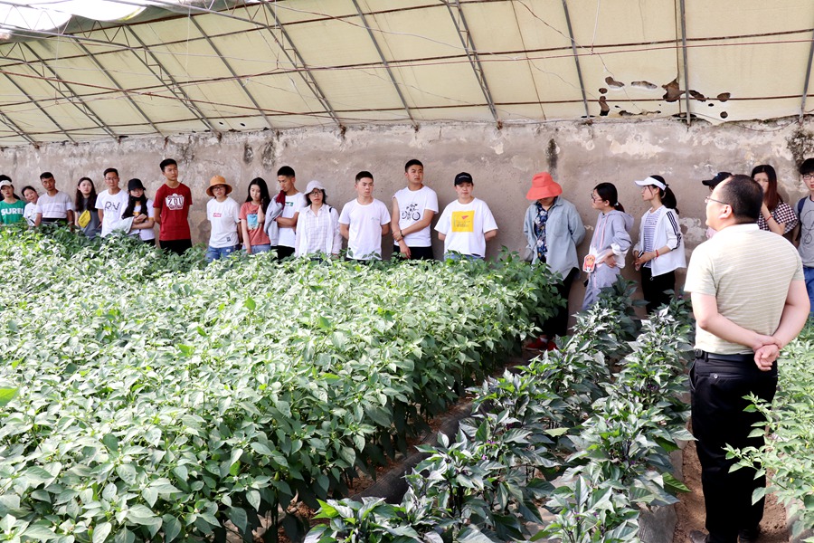 Canon 2019-05-22 Canon EOS 77D Canon EOS 77D F9.0 IMG_6876 18mm IMG_6876 ISO400 IMG_6876 Canon2.jpg