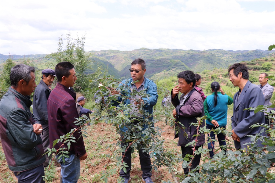 Canon 2019-06-05 Canon EOS 77D Canon EOS 77D F10.0 IMG_7101 18mm IMG_7101 ISO400 IMG_7101 Canon2.jpg