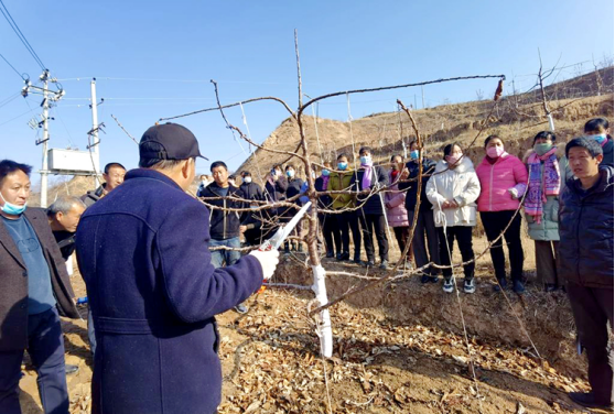 武山:科技赋能春耕生产574.png