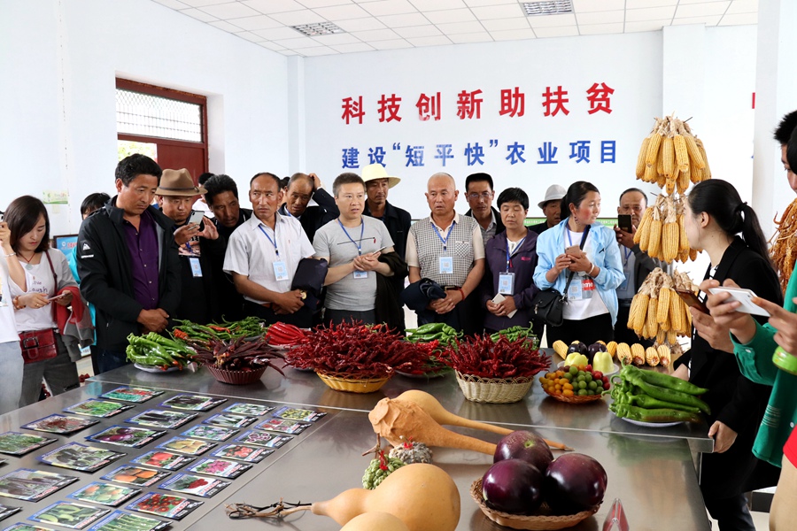 Canon 2019-06-19 Canon EOS 77D Canon EOS 77D F5.6 IMG_7434 18mm IMG_7434 ISO1600 IMG_7434 Canon3.jpg