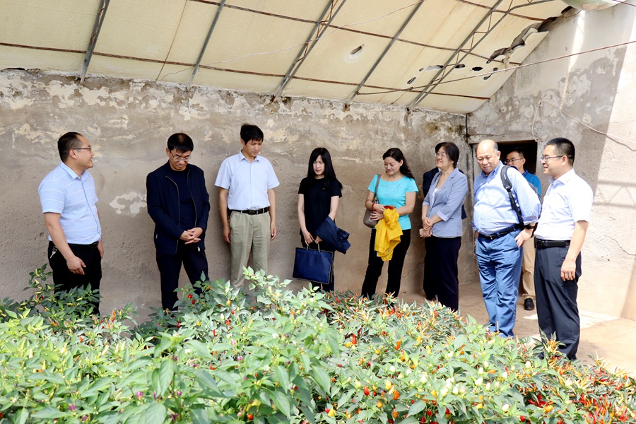 Canon 2019-07-08 Canon EOS 77D Canon EOS 77D F4.0 IMG_8223 20mm IMG_8223 ISO200 IMG_8223 Canon2.jpg